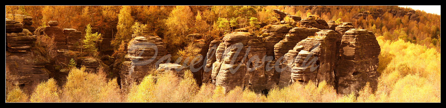 panorama III.jpg