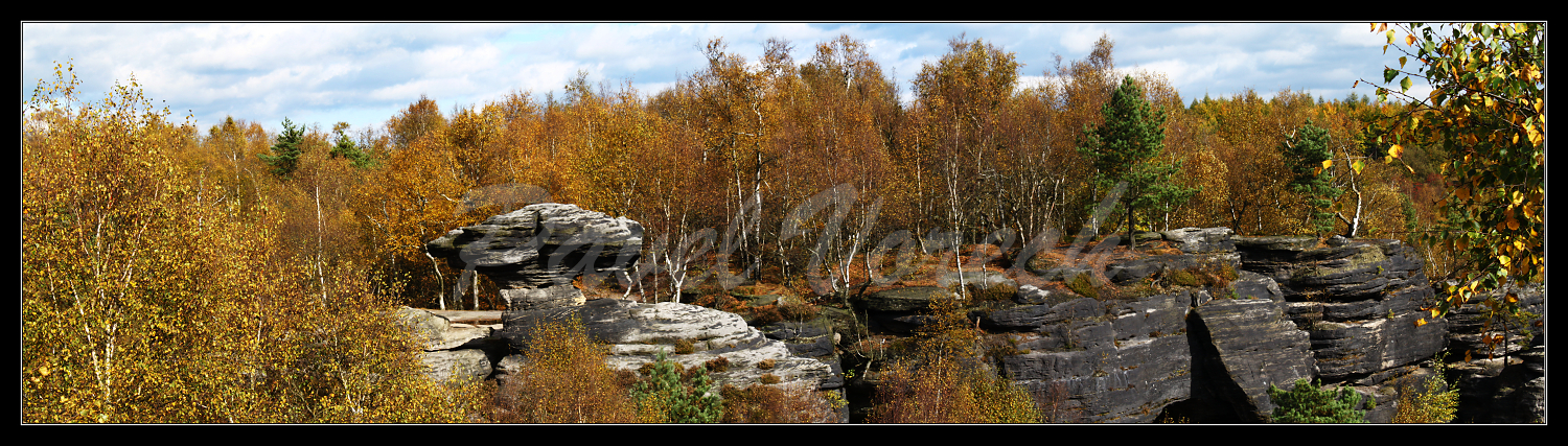 panorama IV.jpg